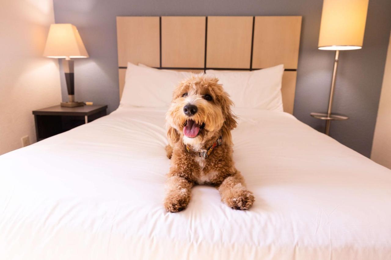 Sonesta Simply Suites Birmingham Hoover Zewnętrze zdjęcie
